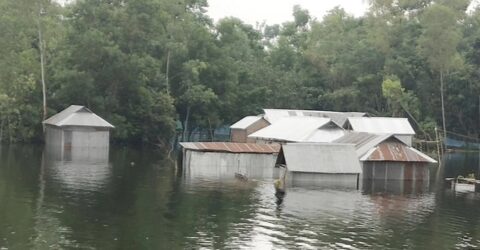 কুড়িগ্রামে বন্যার পানিতে ডুবে ১৪ শিশুর মৃত্যু