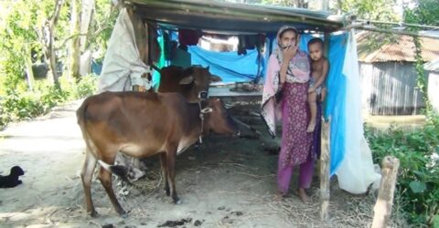 ওপরেও পানি নিচেও পানি, হামরা যামো কই