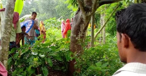 নাতনিকে ধর্ষণে অভিযুক্ত দাদার আত্মহত্যা
