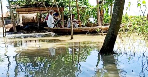 টাঙ্গাইলের ১২ উপজেলার ১১ উপজেলা পানির নিচে