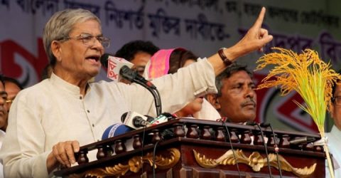 ধানের শীষ নিয়ে টানাটানি কেন, শাপলা দিতে তো বাধা দেইনি
