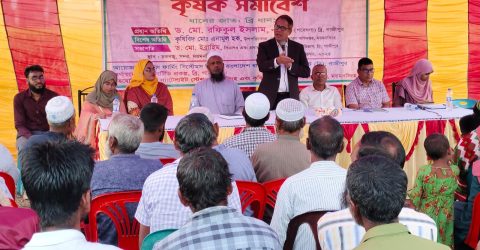 শস্য বিন্যাস পদ্ধতিতে একই জমিতে তিন ফসল উৎপাদন সম্ভব